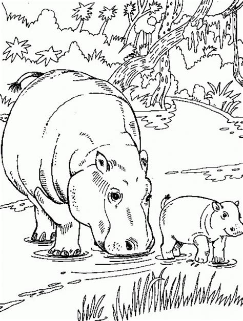 New pictures and coloring pages for children every day! Free Printable Hippo Coloring Pages For Kids