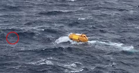Disney Cruise Rescues Passenger Who Fell Overboard From Royal Caribbean