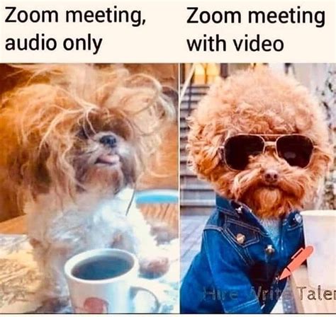 *sweating profusely during meeting, screaming internally as i go through the most important points. Zoom Meetings Funny - Funny Zoom Meeting in 2020 | Meeting ...