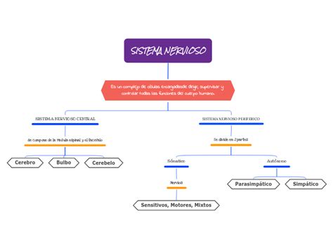 Sistema Nervioso Mind Map