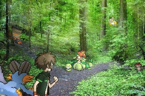 Pokemon Forest Background ·① Wallpapertag