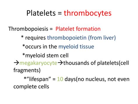 Platelets Thrombocytes