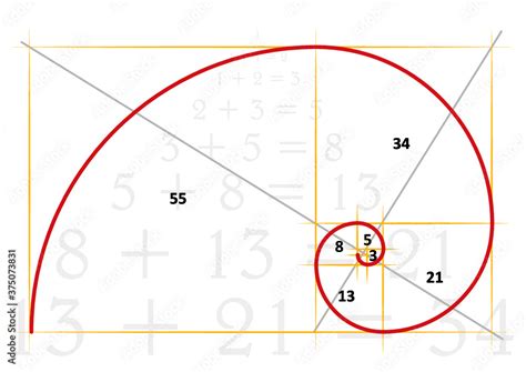 Leonardo Da Vinci Day The Golden Ratio Template Spiral Fibonacci