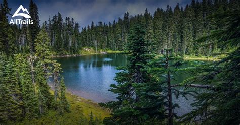 Best Trails In Indian Heaven Wilderness Washington Alltrails