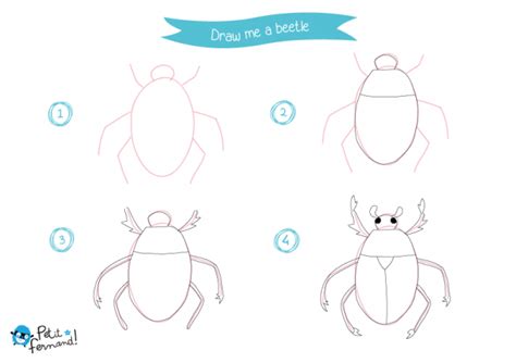 How To Draw Insects Free Tutorial For Kids Petit Fernand