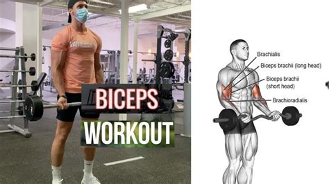The Only 3 Bicep Exercises You Need For Mass Youtube