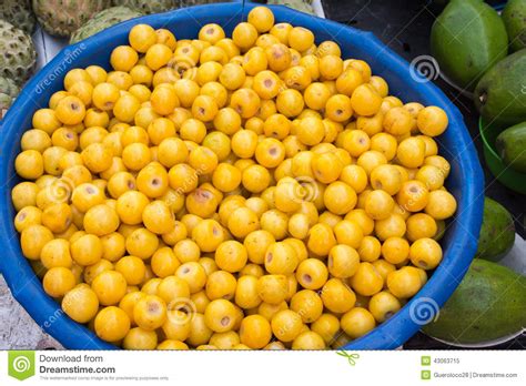 Mexican Nance Or Nanche Fruit Stock Image Image Of Grown Food 43063715