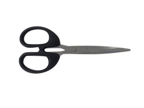 8inch Stainless Steel Scissor For Cutting Sizedimension 6inch At Rs