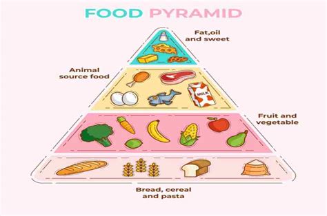 Piramida Makanan Panduan Makan Sehat Beserta Contoh