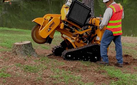 Stump Grinding Near Me 2023 Cost Guide
