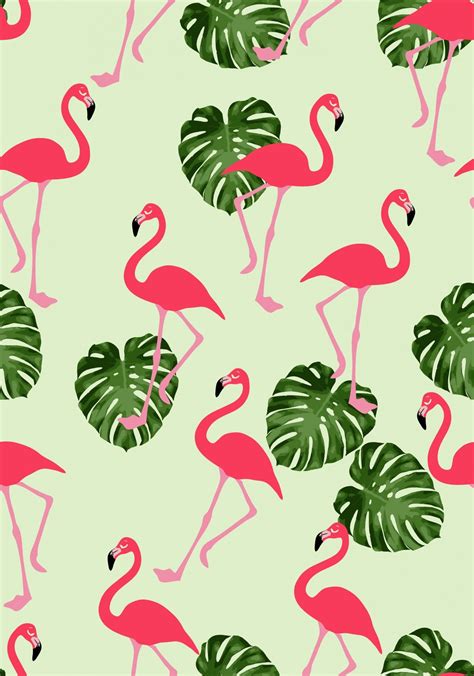 √ Pink Flamingo Wallpaper Iphone Wallpaper Hd
