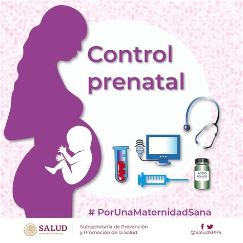 Control Prenatal Mind Map