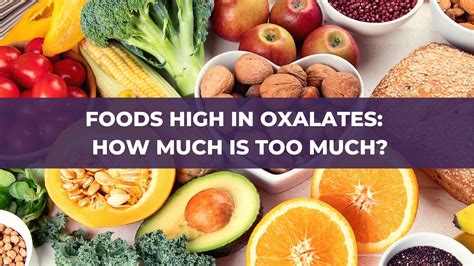 Download the printable high & low oxalate food list to help you discern which common foods are high and low in oxalate. Foods High in Oxalates: How Much is TOO MUCH ...