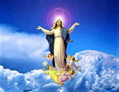Solemnity Of The Assumption Of Mary Order Of Carmelites