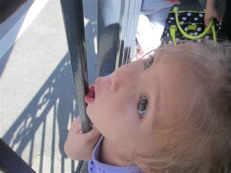 10 Truths About Taking Little Ones To Disney Huffpost