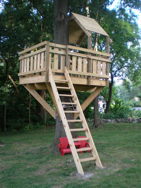 13 Tree Houses Your Kids Will Beg You To Build Glue
