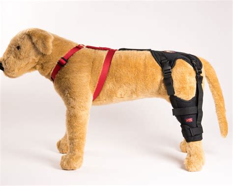 3d Orthosis Pet Ccl Brace Canine Knee Brace Dog Stifle Brace Pet