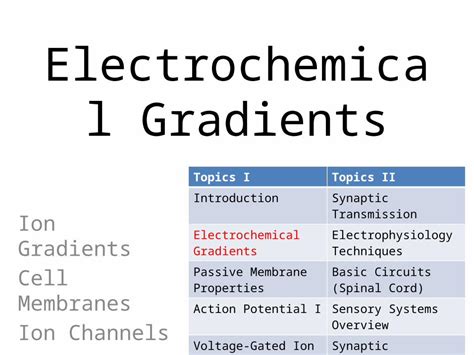 Pptx Electrochemical Gradients Ion Gradients Cell Membranes Ion