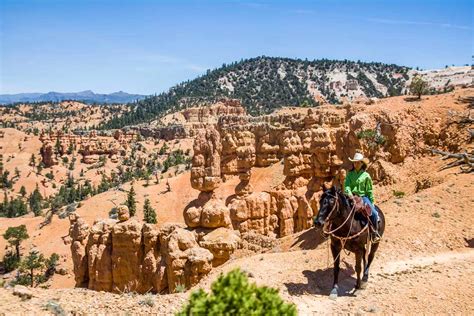 Bryce Canyon Horseback Tours Horseback Tours Of Bryce Canyon
