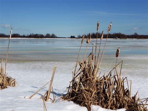 Annapolis Royal Nova Scotia Weather Forecast