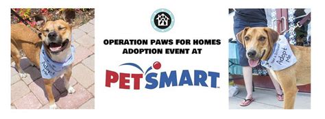 Pictures of dogs and cats who need a home. Mechanicsburg, PA - Adoption Event - PetSmart - Operation ...