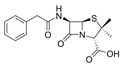 Filepenicillin Gpng Wikimedia Commons