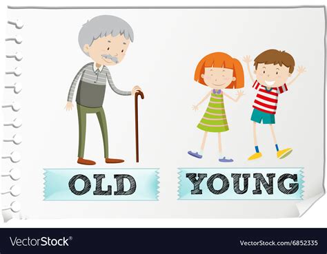 Opposite Adjectives With Old And Young Royalty Free Vector