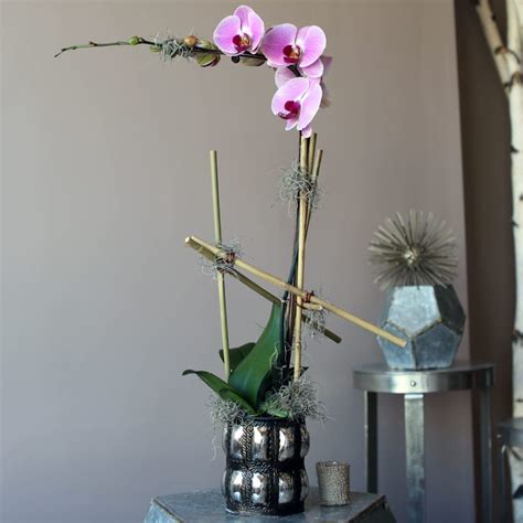 Phalaenopsis Orchid Plant In Millburn Nj Millburn Florist Freshart