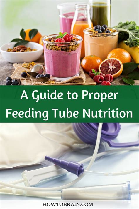Complete Guide To Feeding Tube Nutrition How To Brain Feeding Tube