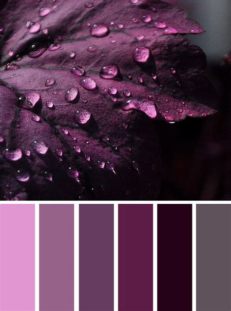 Color Inspiration Grey And Shades Of Purple Color Inspiration Grey