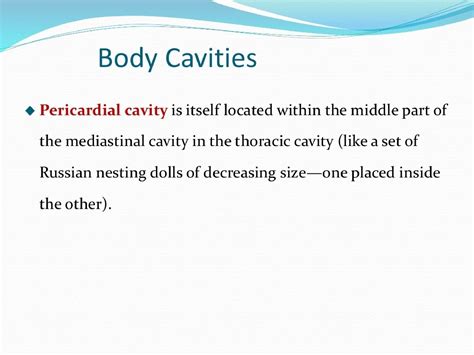 Illustration Of Anterior Body Cavities Stock Image C0 - vrogue.co