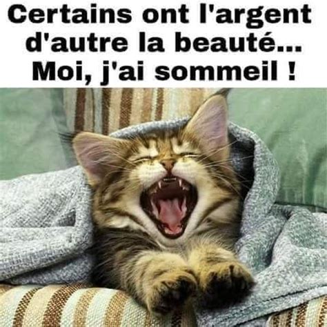 Épinglé sur Humour