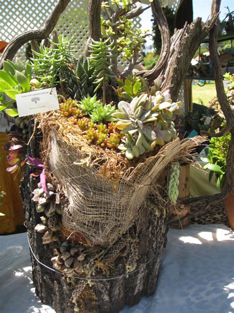 Bend the wire down and. Succulent Planters- Would You Believe Palm Fronds? | Eden ...