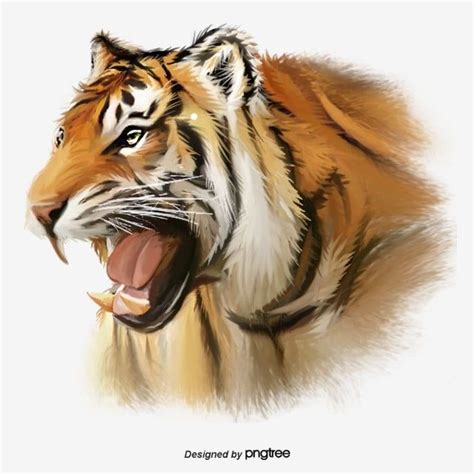 Ferocious Tiger Hd Transparent Hand Painted Head Element Of Ferocious