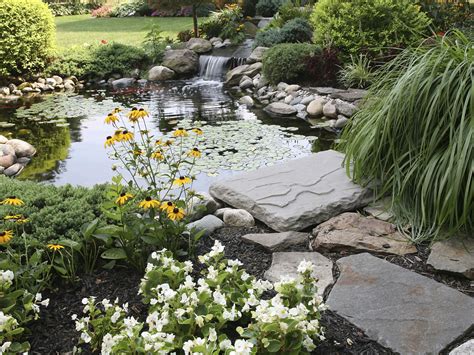 Farm Pond Landscaping Plants Best Decorations