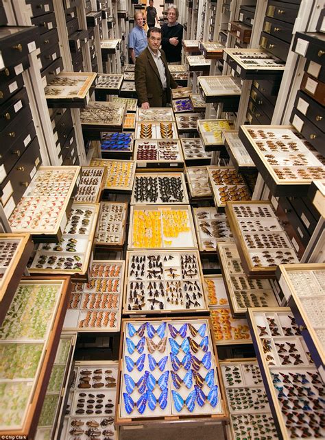 Inside the secret collections of the US National Museum of ...
