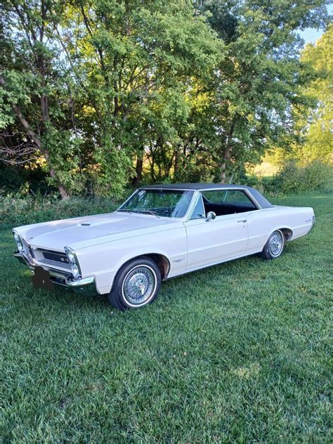 Too Old To Drive 1965 Pontiac Gto Sitting For Decades Is Unrestored