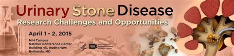 Urinary Stone Disease Research Challenges And Opportunities 2015 Niddk
