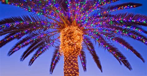 Fall And Winter Events On Kiawah Island Akers Ellis Real Estate And Rentals
