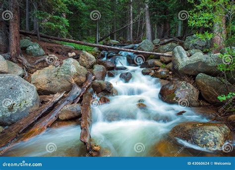 Mountain Stream Colorado Stock Photo Image Of Outdoor 43060624