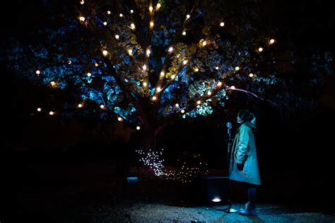 North Forest Lights Immersive Light And Sound Installations In The