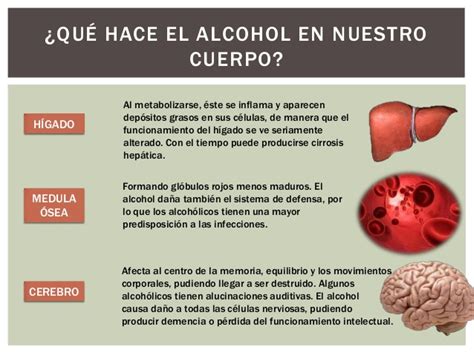 Efectos Del Alcohol On Emaze