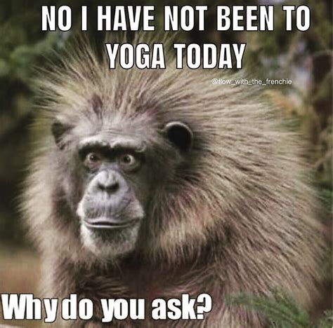 These Yoga Memes Will Make You Zen Af Namaste Yall Memes