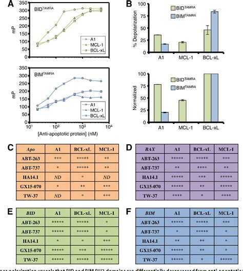 Figure 1 From B Cell Lymphoma 2 BCL 2 Homology Domain 3 BH3