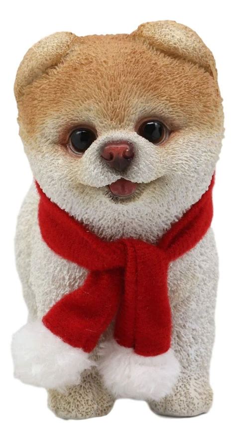 Ebros Red Scarf Boo The Worlds Cutest Pomeranian Dog