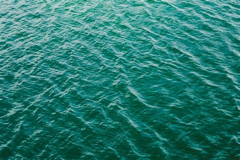 Green Water Pictures Download Free Images On Unsplash