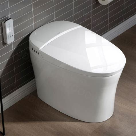 Moen 3 Series Standard Electronic Cleansing Toilet Costco Atelier