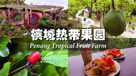 【旅游】槟城热带果园 Penang Tropical Fruit Farm – Xin A Day 昕 一 天