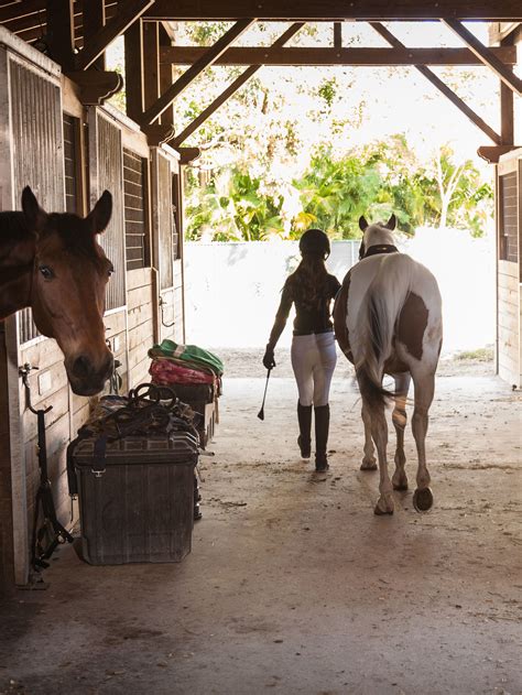 Florida For The Equestrian Why Horse Lovers Should Trot Over To