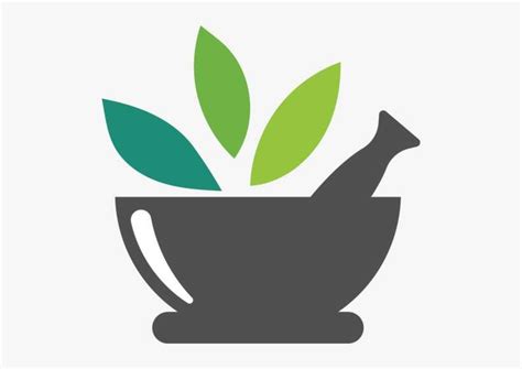 Chinese Herbal Medicine Herbal Medicine Logo Png Png Image